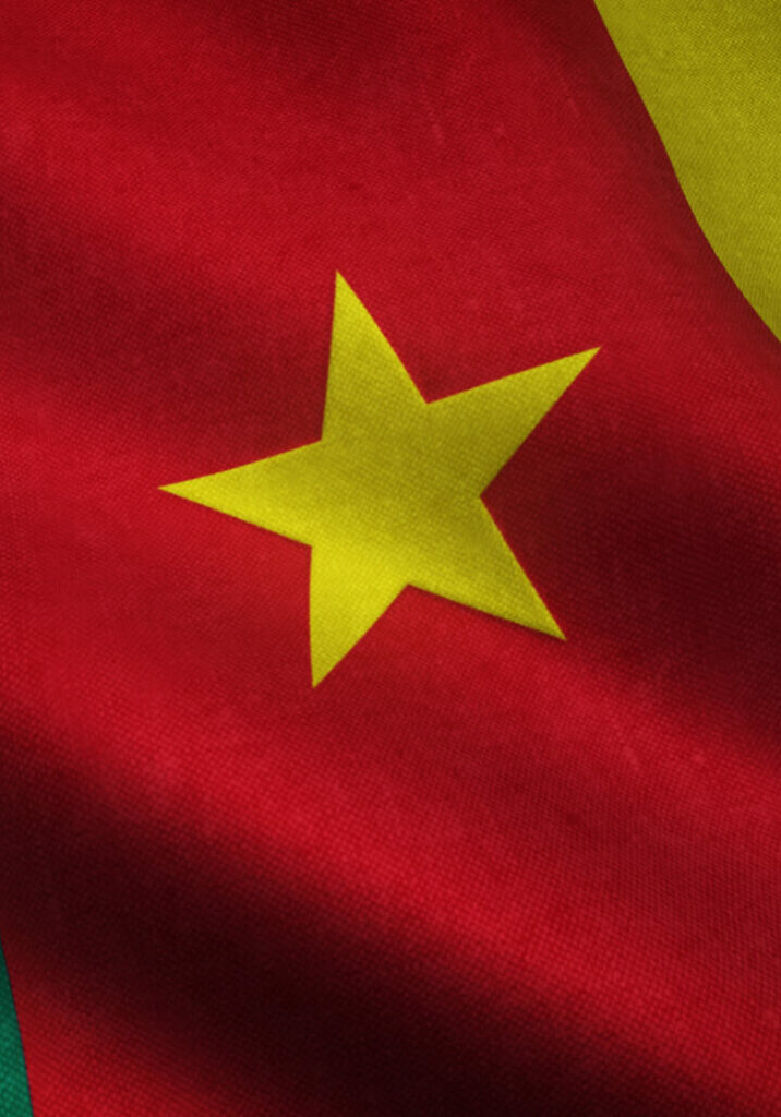 CAMEROON FLAG